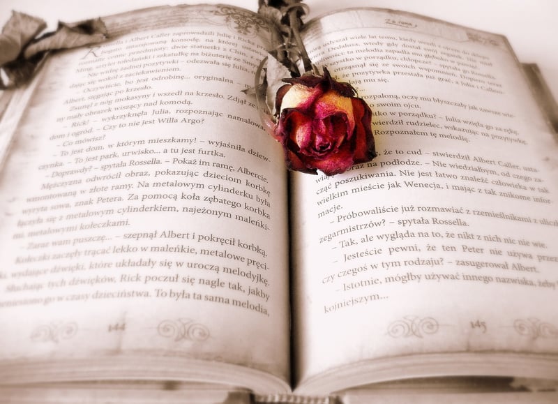 Historical Fiction